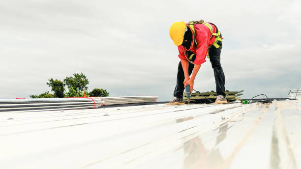 Best Sheet Metal Roofing  in Rosemont, IL