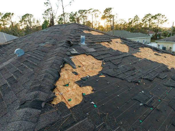 Best Solar Panel Roofing Installation  in Rosemont, IL