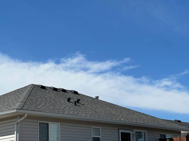 Best Commercial Roofing Services  in Rosemont, IL